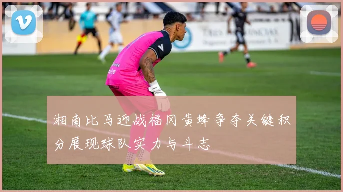 湘南比马迎战福冈黄蜂争夺关键积分展现球队实力与斗志