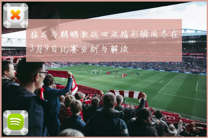 猛龙与鹈鹕激战回放精彩瞬间尽在3月9日比赛分析与解读